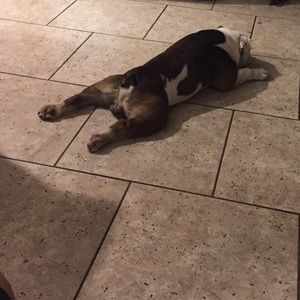 Meet your Posher, Joseph